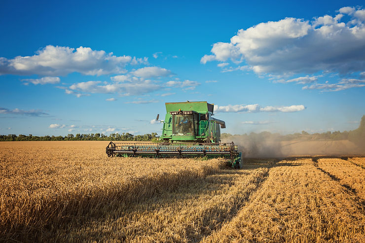 O Agronegócio em expansão